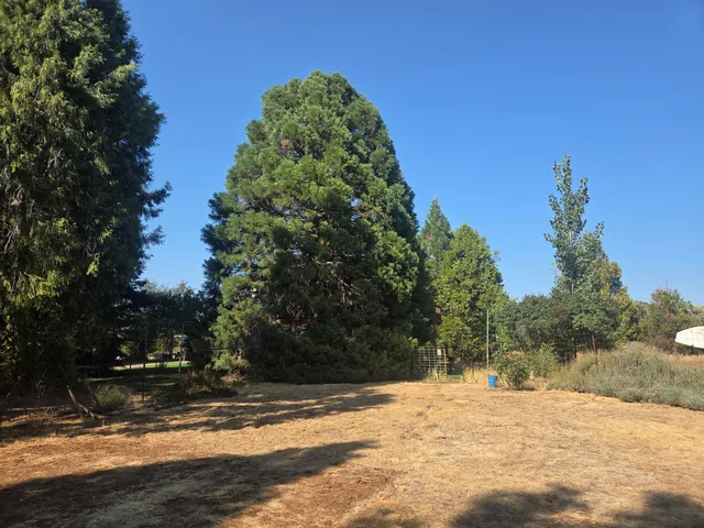 $389,000 | 7179 Pine Meadows Drive, Shingletown, CA 96088