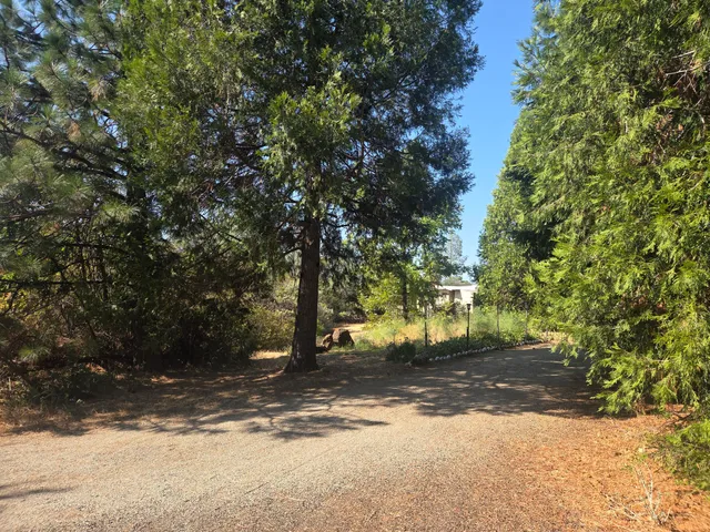 $389,000 | 7179 Pine Meadows Drive, Shingletown, CA 96088