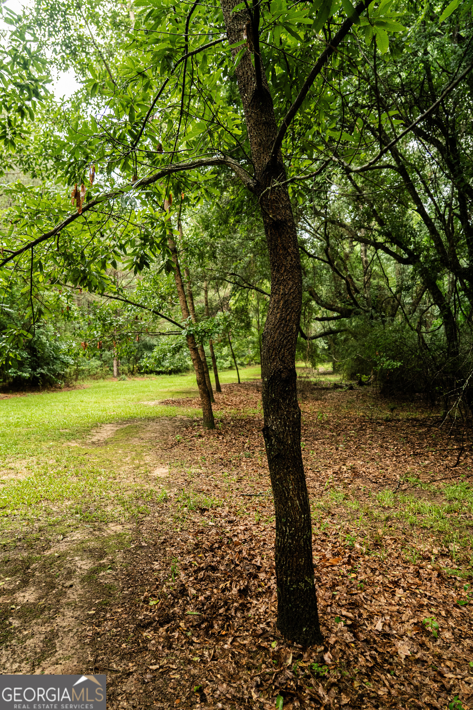 990 Highway 49 Americus, GA 31719 - Photo 60 of 121
