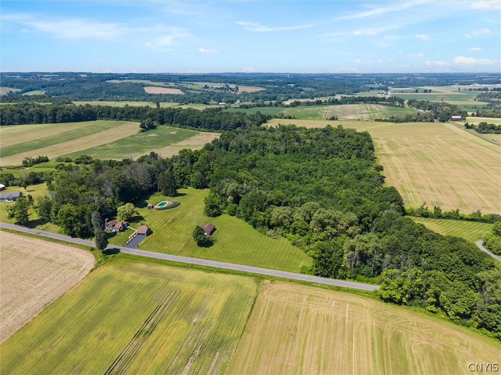 1631 Albring Road Skaneateles, NY 13152 - Photo 45 of 50