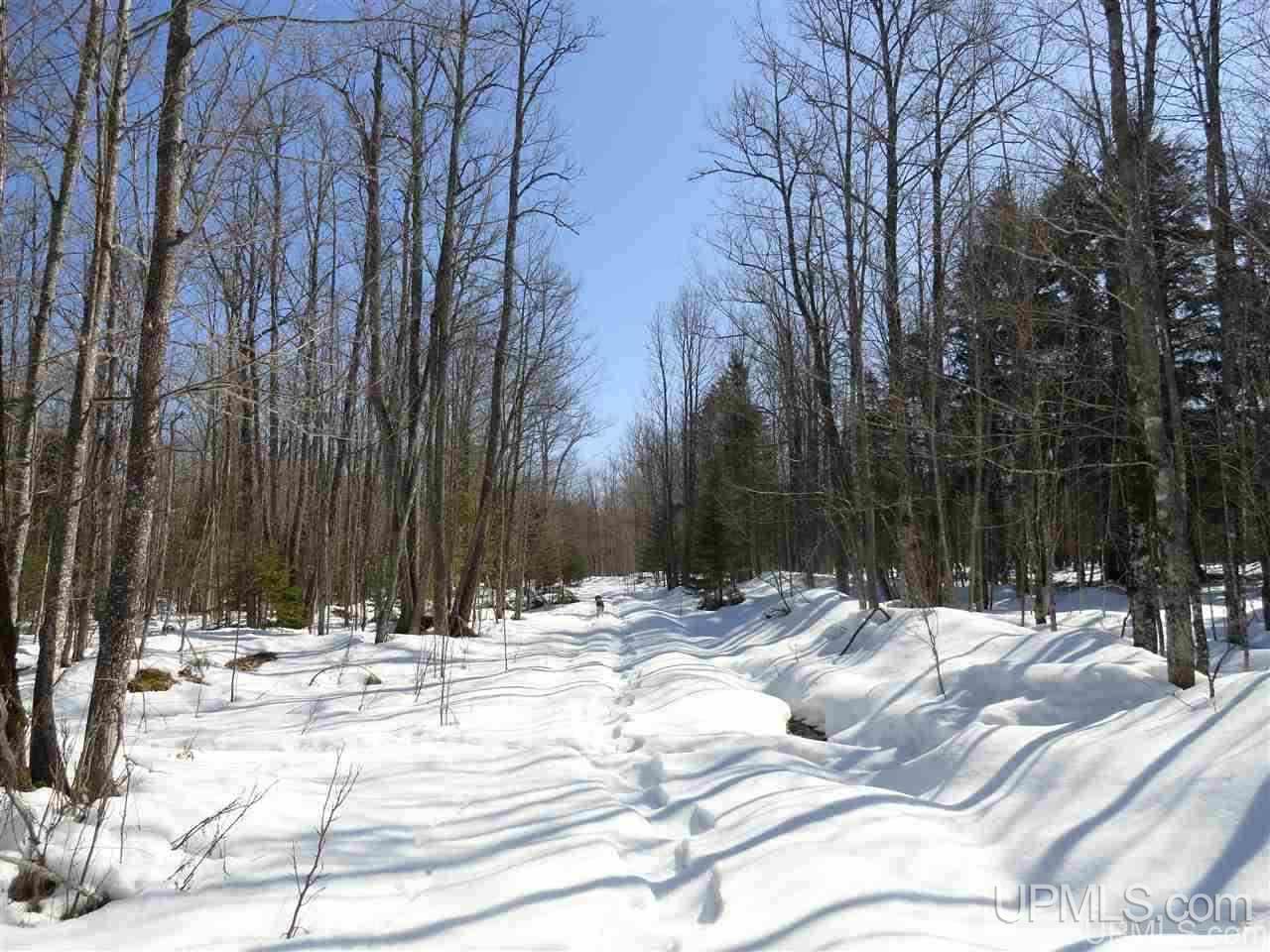 240-acres Leek Road Covington, MI 49919 - Photo 6 of 50
