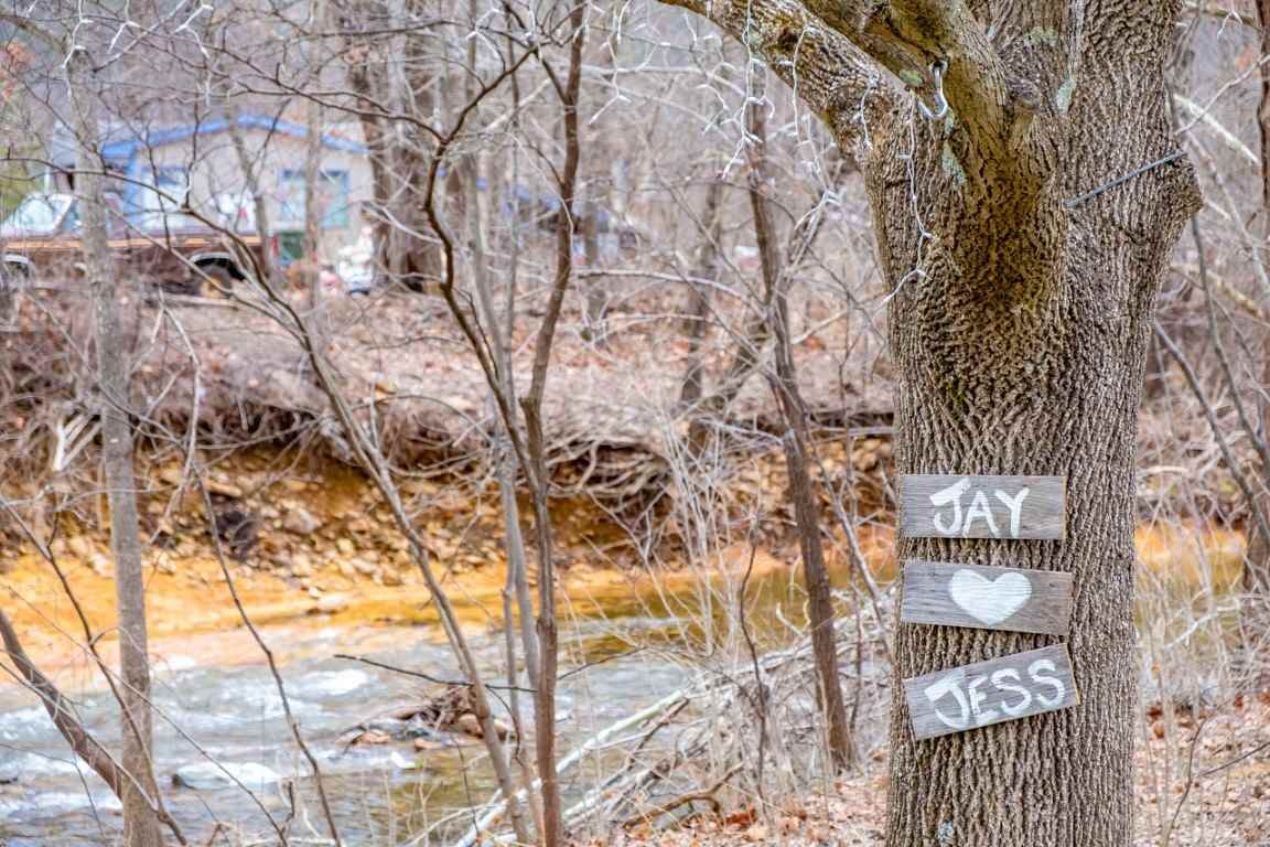 1794 Mt Torrey Road Lyndhurst, VA 22952 - Photo 9 of 44 a picture of trees