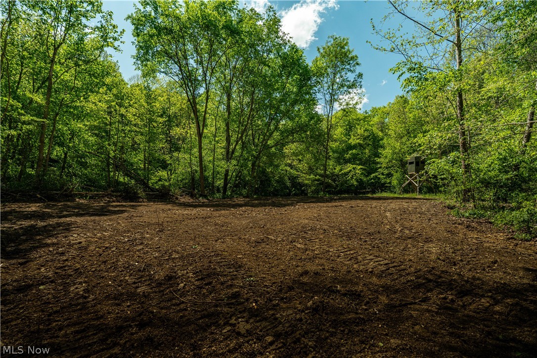 0 Prider Road Kimbolton, OH 43749 - Photo 5 of 23 Food Plot #1