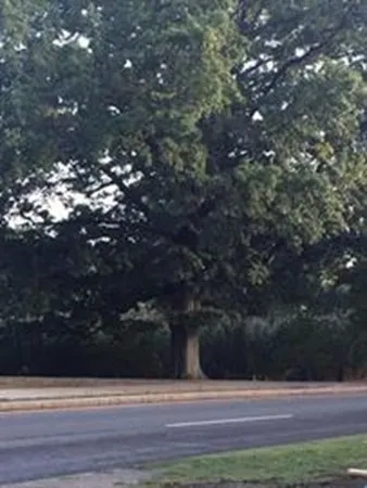 $2,500 | 51 Park Drive, Unit 1, Boston, MA 02215