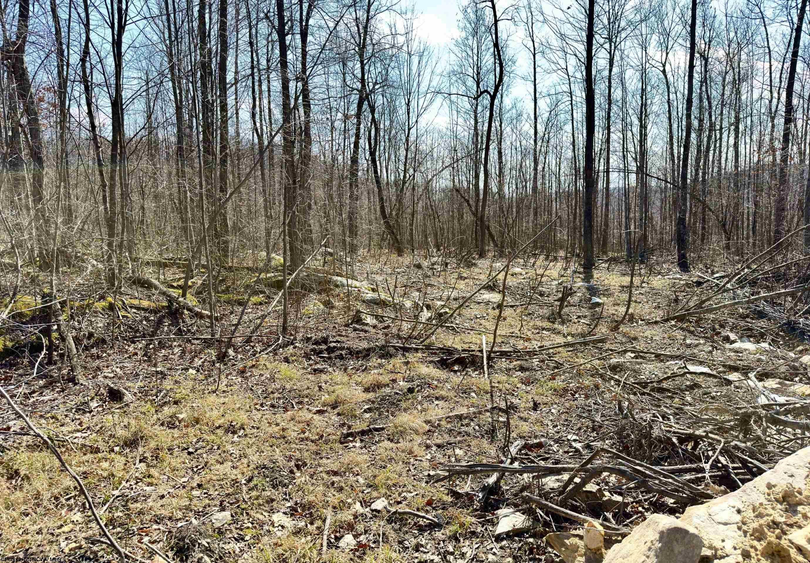 Lot 7 Brooklyn Road Parsons, WV 26287 - Photo 2 of 12 Gallery Image 2