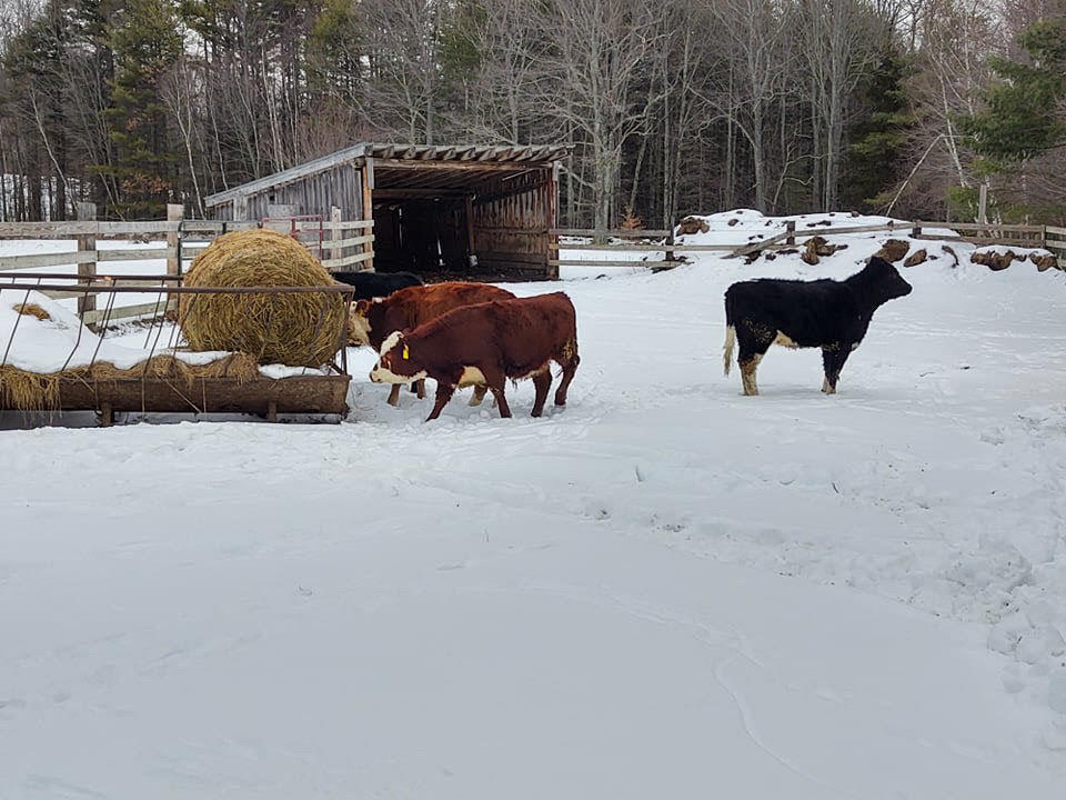 299 Hunts Meadow Road Whitefield, ME 04353 - Photo 79 of 99 outside 7