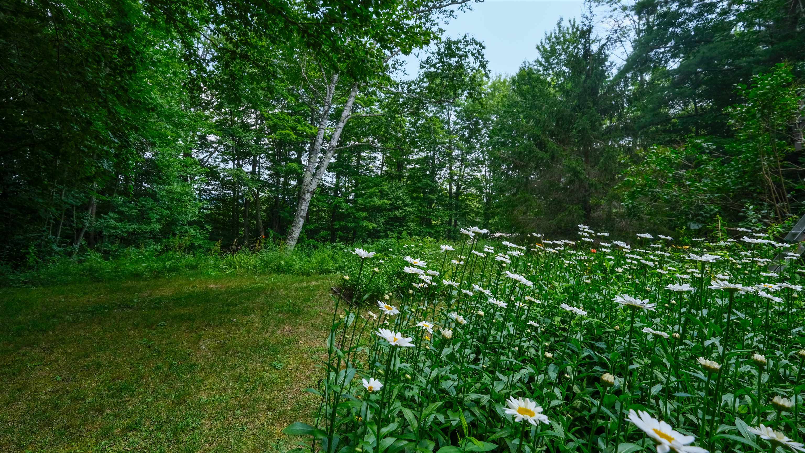 240 Ghia Farm Road Ludlow, VT 05149 - Photo 33 of 45 Gallery Image 33