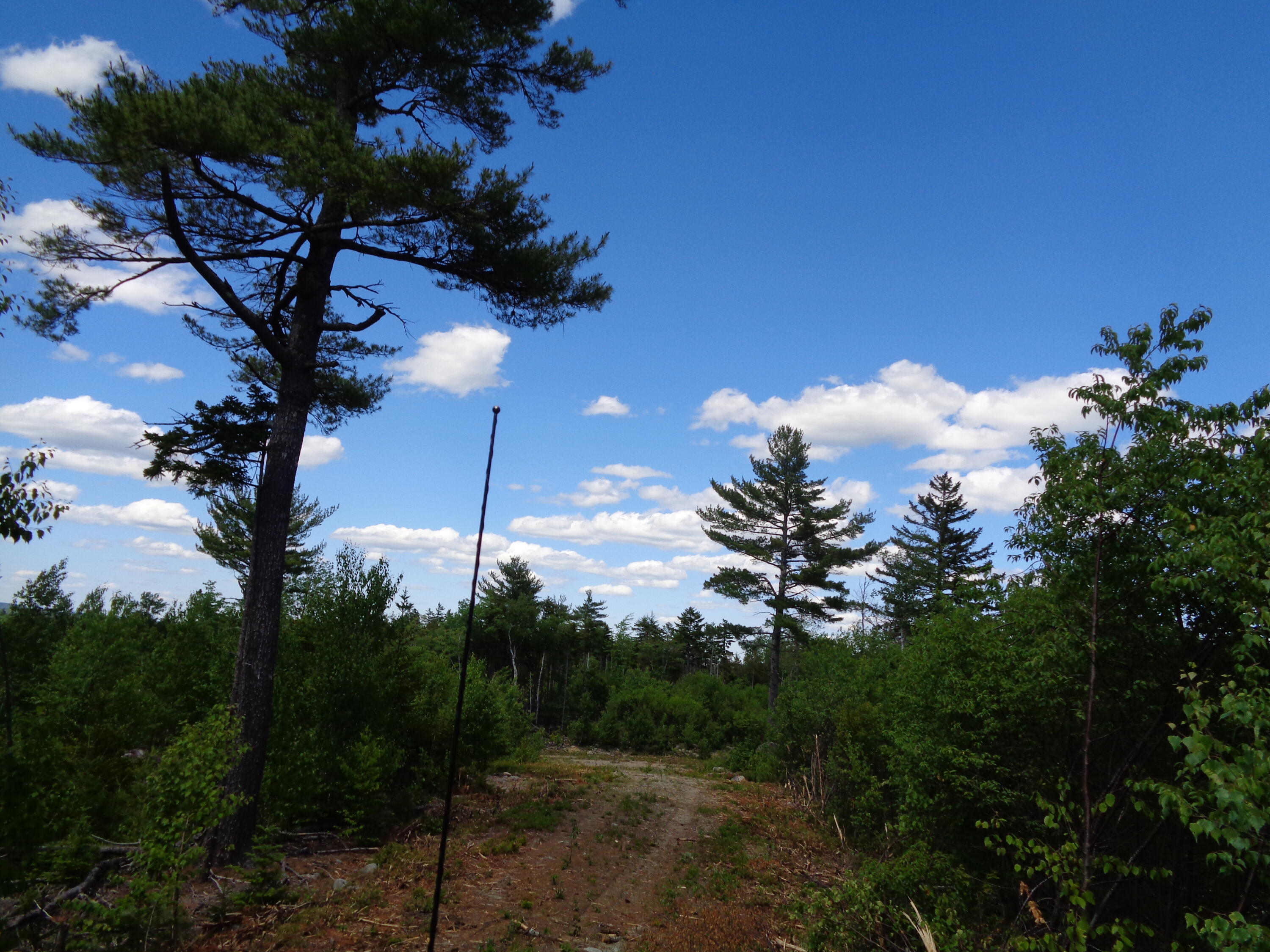 Lot 18 Pond Road Gouldsboro, ME 04607 - Photo 14 of 17 DSC04445