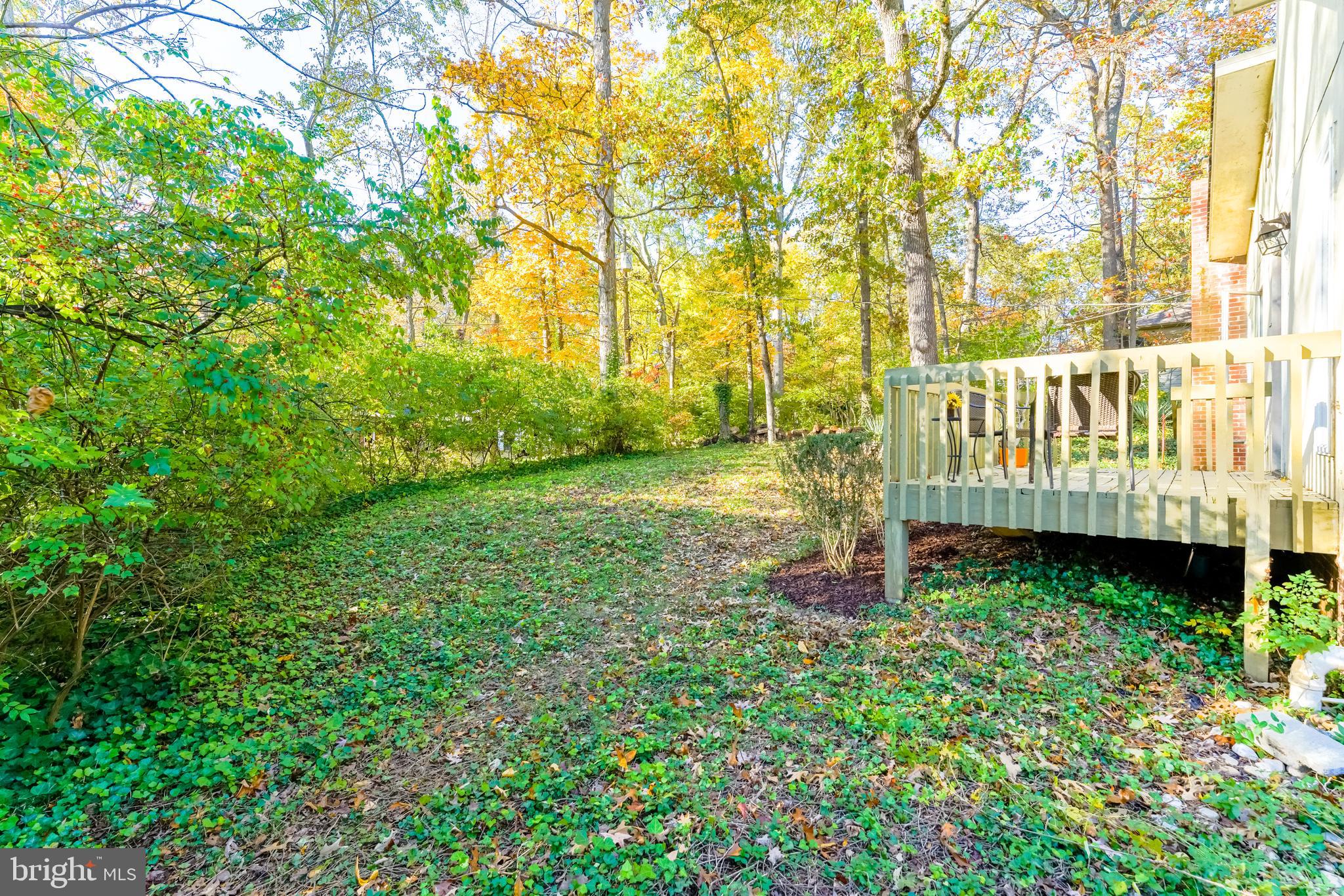 1228 Shenandoah Road Alexandria, VA 22308 - Photo 28 of 32 Gallery Image 28