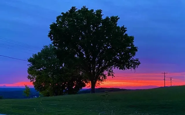a view of a lake with a mountain