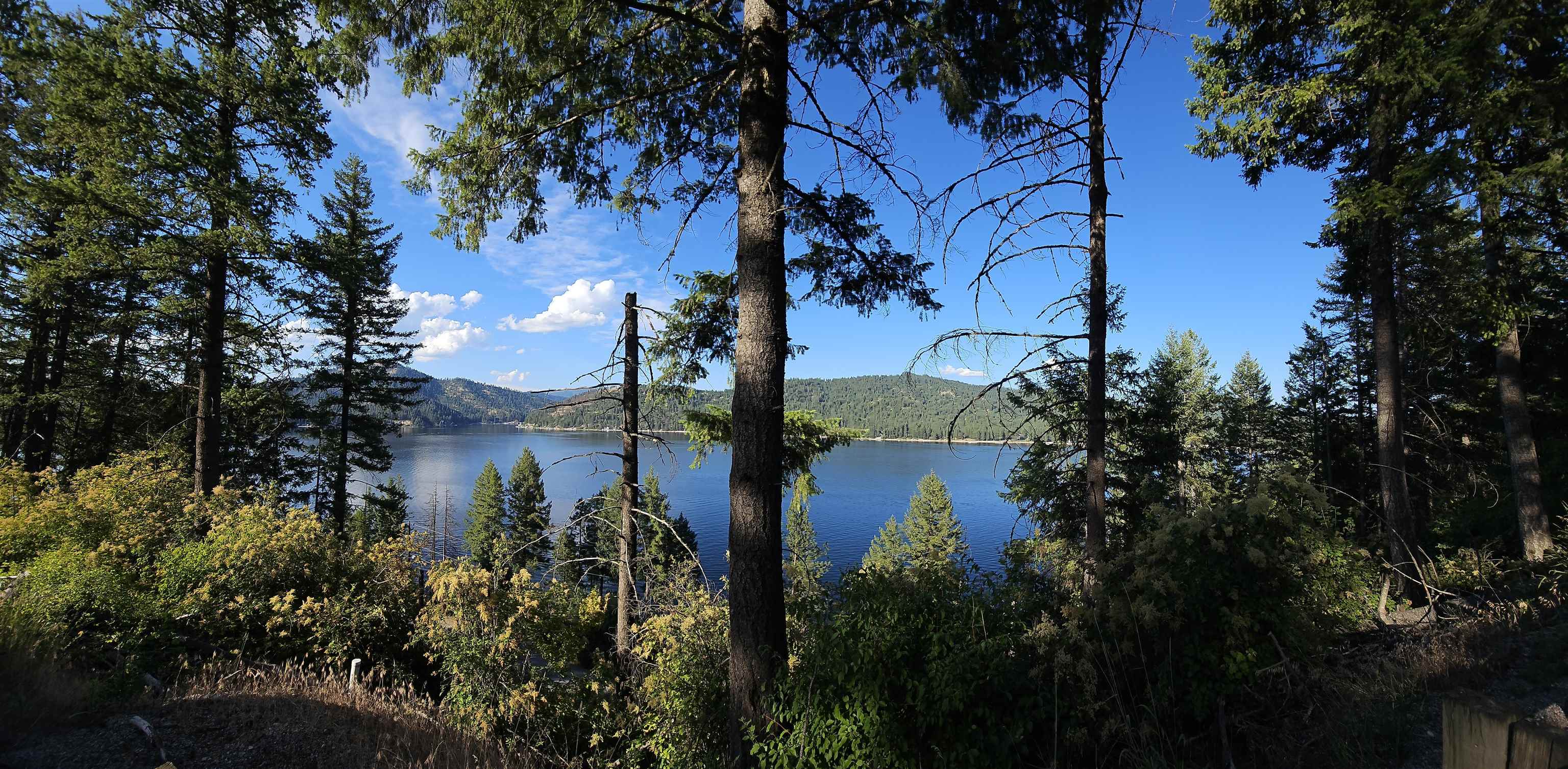 4058 Tamarack Bay Road Loon Lake, WA 99148 - Photo 4 of 30 Gallery Image 4
