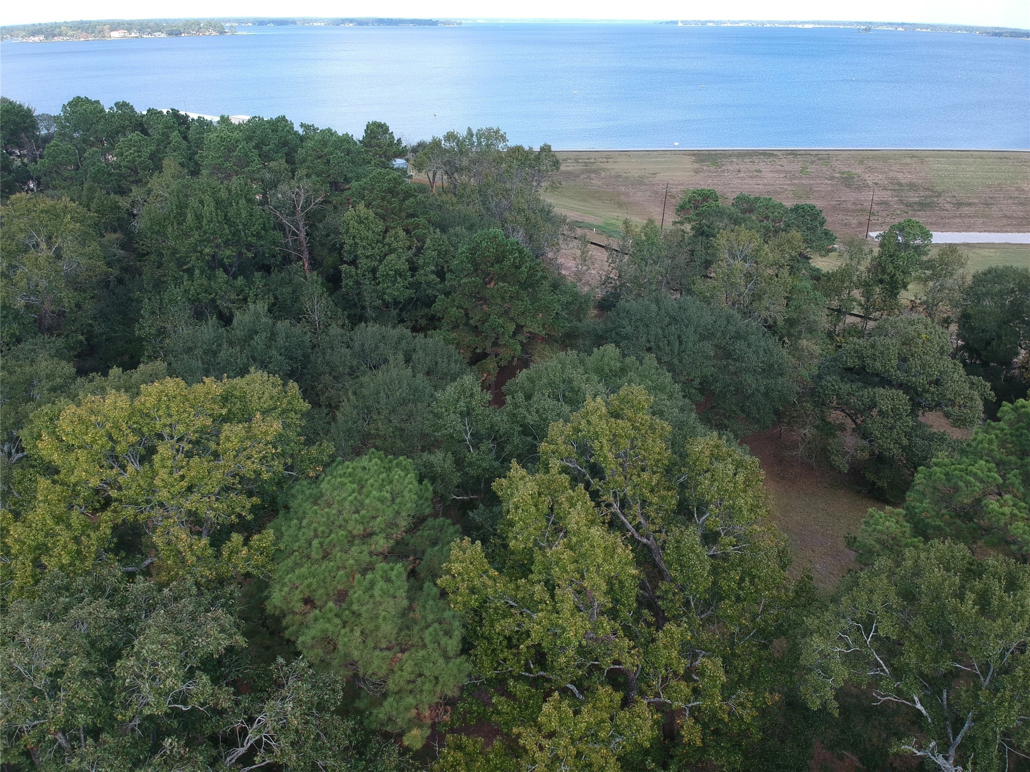 1651 Fultz Court Conroe, TX 77304 - Photo 37 of 38 a view of a city with lush green forest
