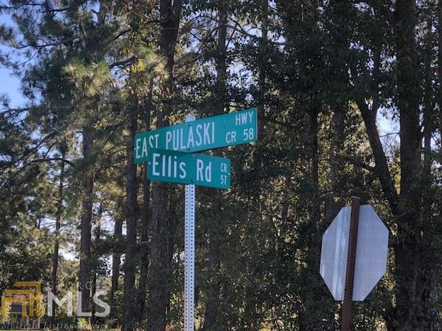 0 Ellis Road, Unit 13 Register, GA 30452 - Photo 1 of 1