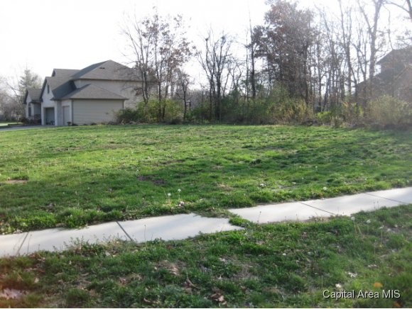 500 Chase Haven Rochester, IL 62563 - Photo 1 of 7