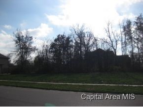 500 Chase Haven Rochester, IL 62563 - Photo 2 of 7