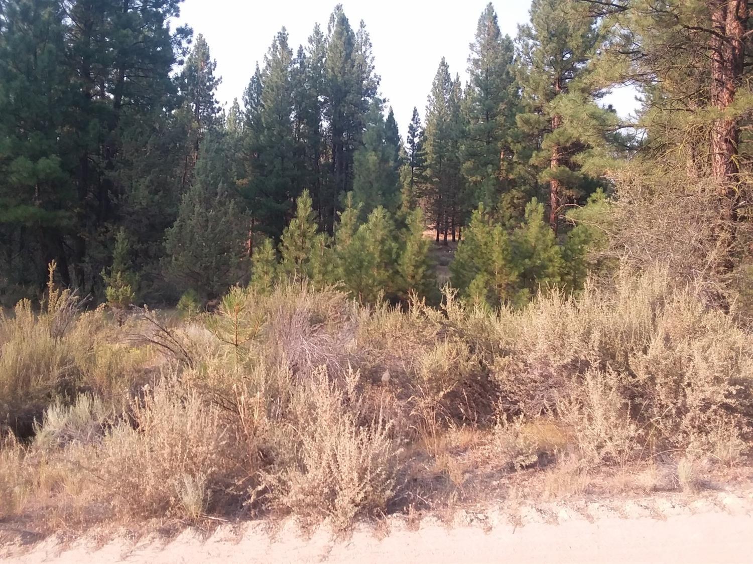 0 South Packsaddle Circle South Beatty, OR 97621 - Photo 2 of 22 Additional Photo