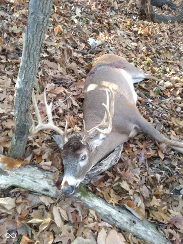 $250,000 | 2705 West State Road 234, Kingman, IN 47952