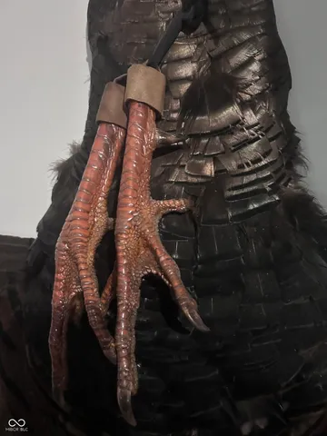 $250,000 | 2705 West State Road 234, Kingman, IN 47952