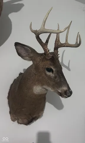 $250,000 | 2705 West State Road 234, Kingman, IN 47952