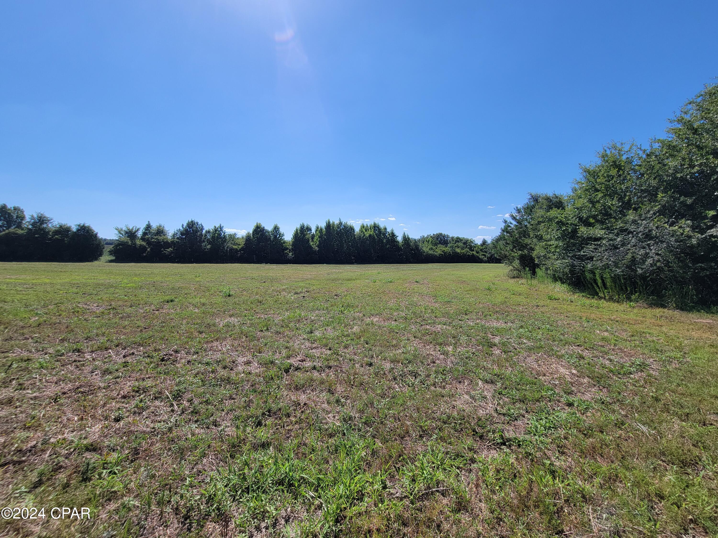 Lot 2 Bradley Road Westville, FL 32464 - Photo 8 of 11