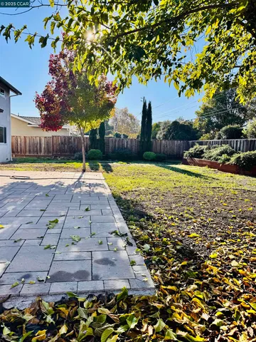 a view of a yard with an tree