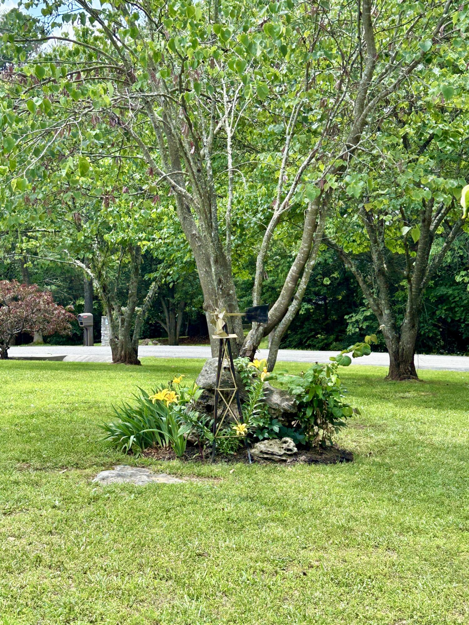 291 Forest Ridge Circle Bronston, KY 42518 - Photo 10 of 93 IMG_6876