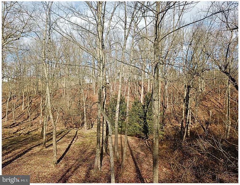 0 Pleasant View Road Red Lion, PA 17356 - Photo 2 of 2 a view of a yard