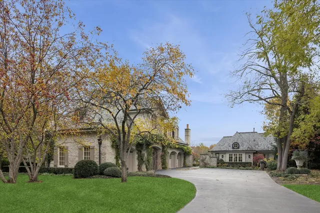 a living room with furniture a fireplace and a potted plant