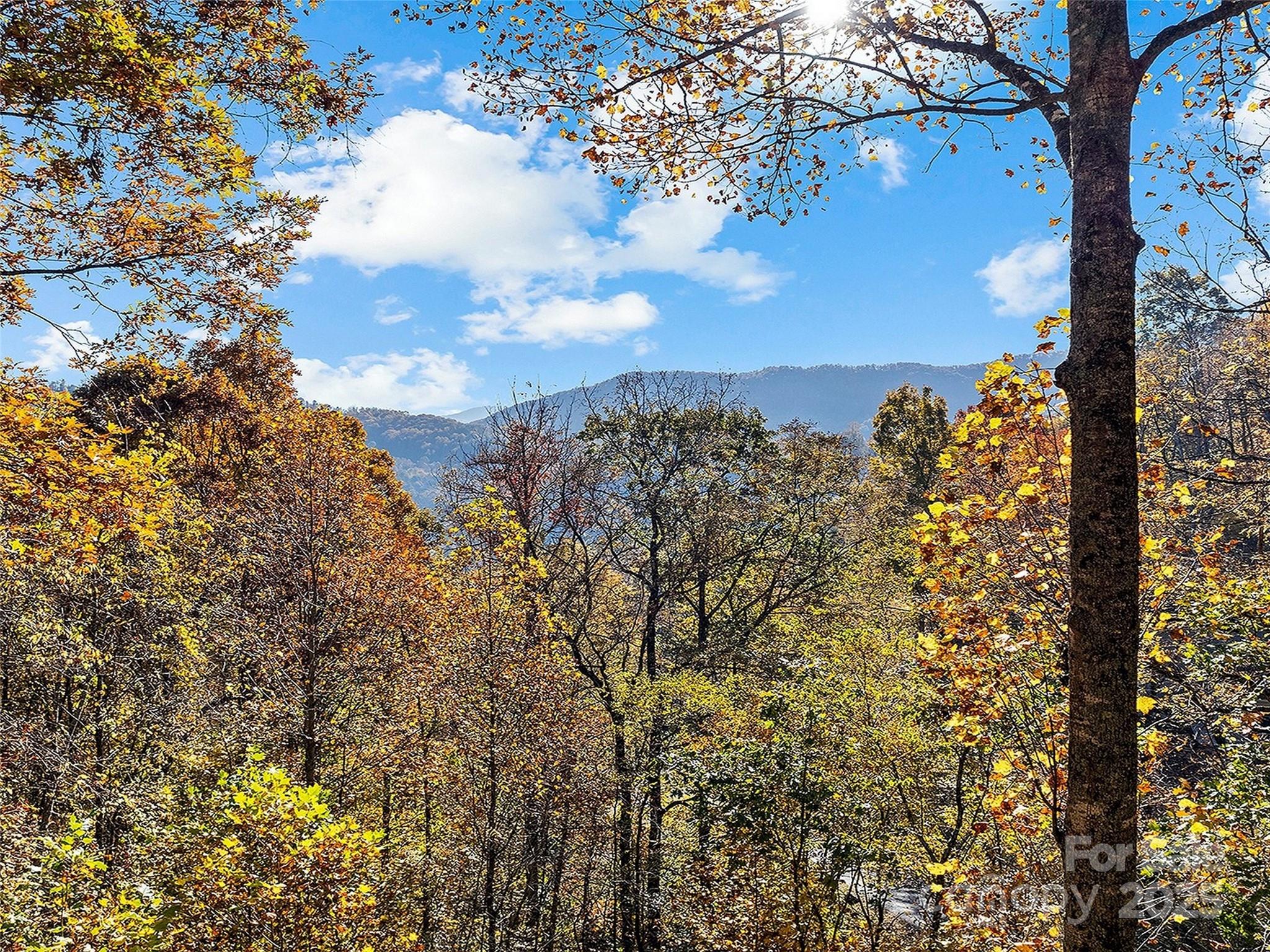 36 Wonder View Point Waynesville, NC 28785 - Photo 31 of 40 a view of a city with lots of trees