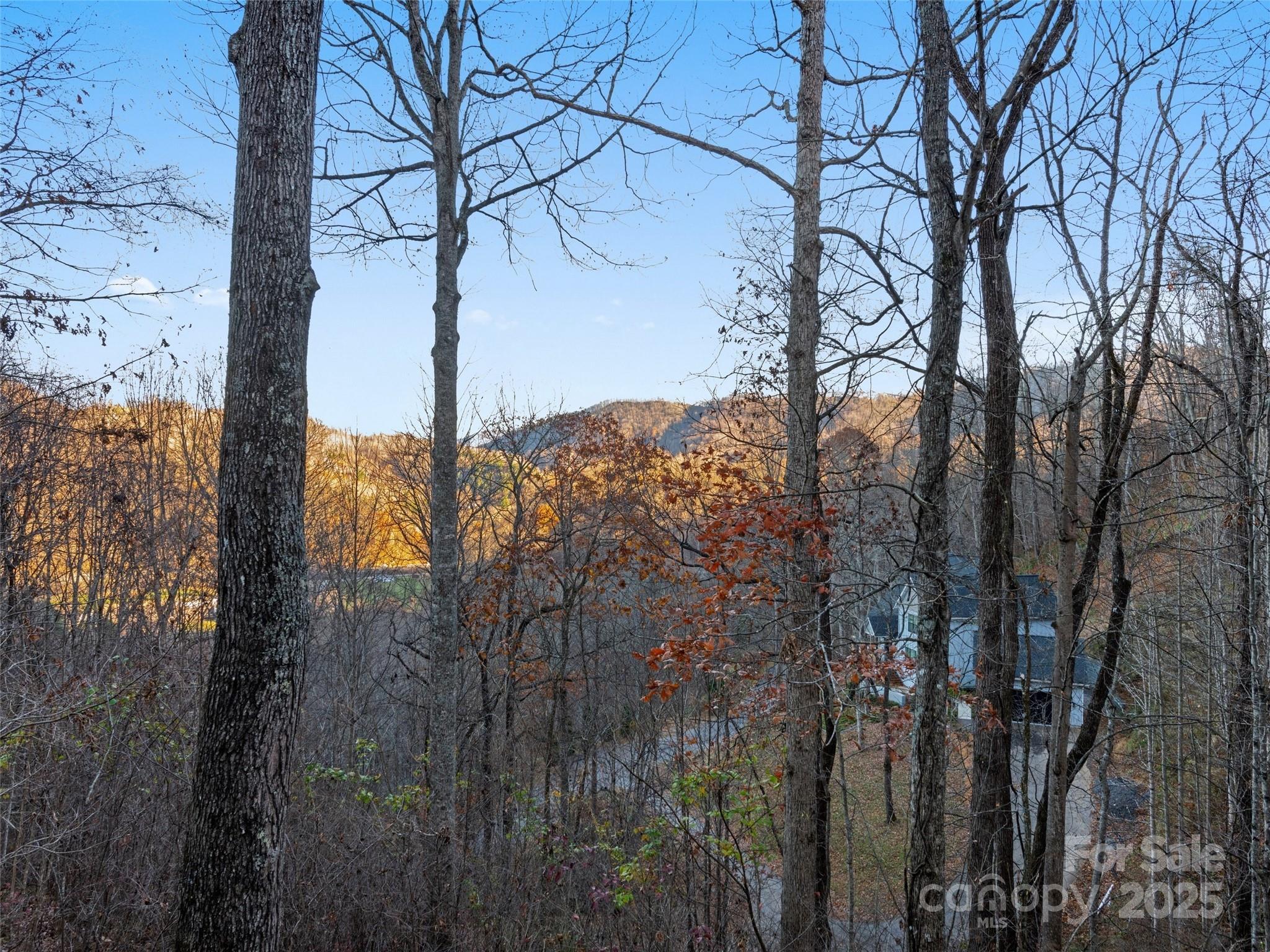 36 Wonder View Point Waynesville, NC 28785 - Photo 32 of 40 a view of a tree in the middle of a yard