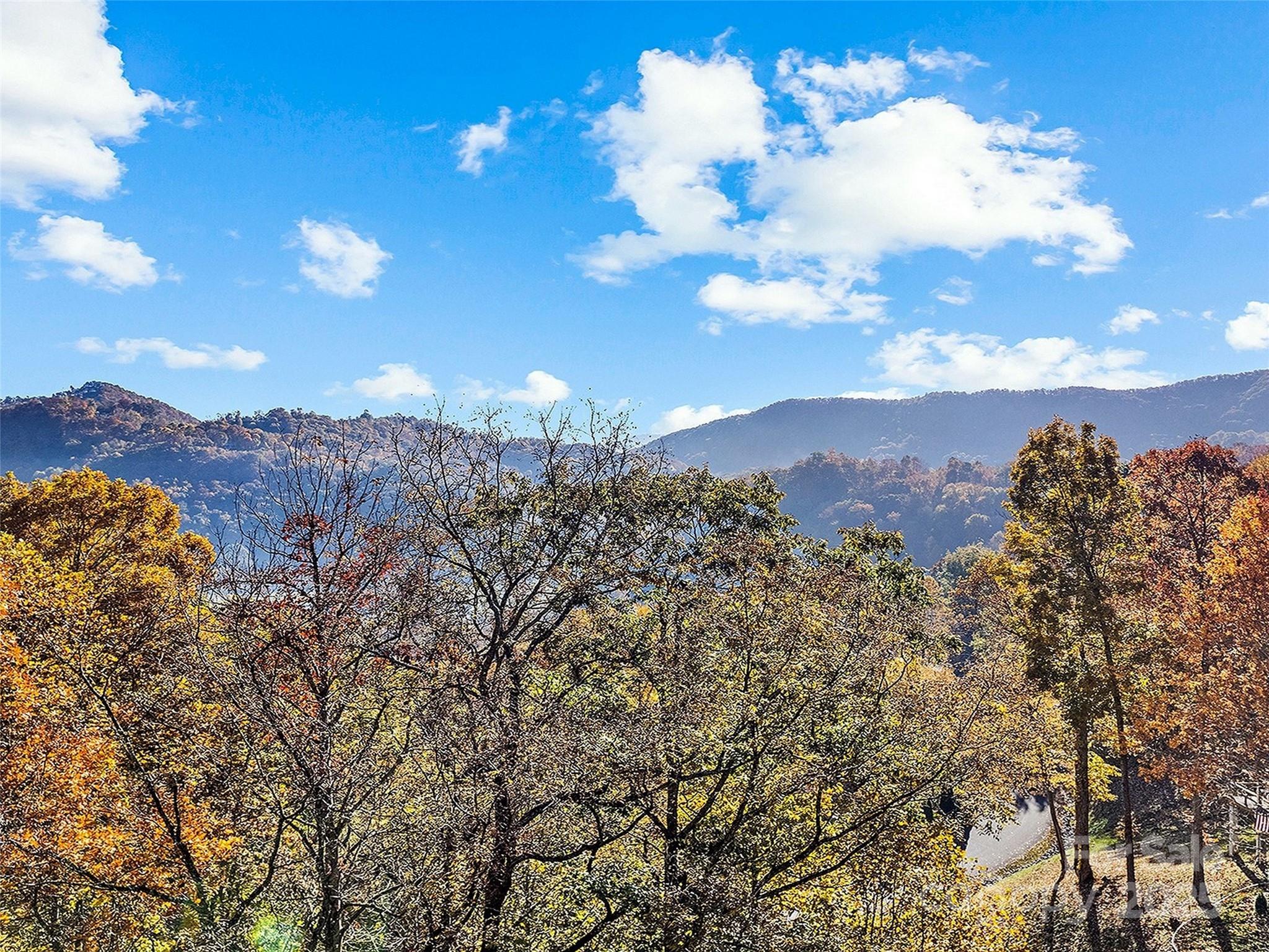 36 Wonder View Point Waynesville, NC 28785 - Photo 4 of 40 a view of a city with flower in it