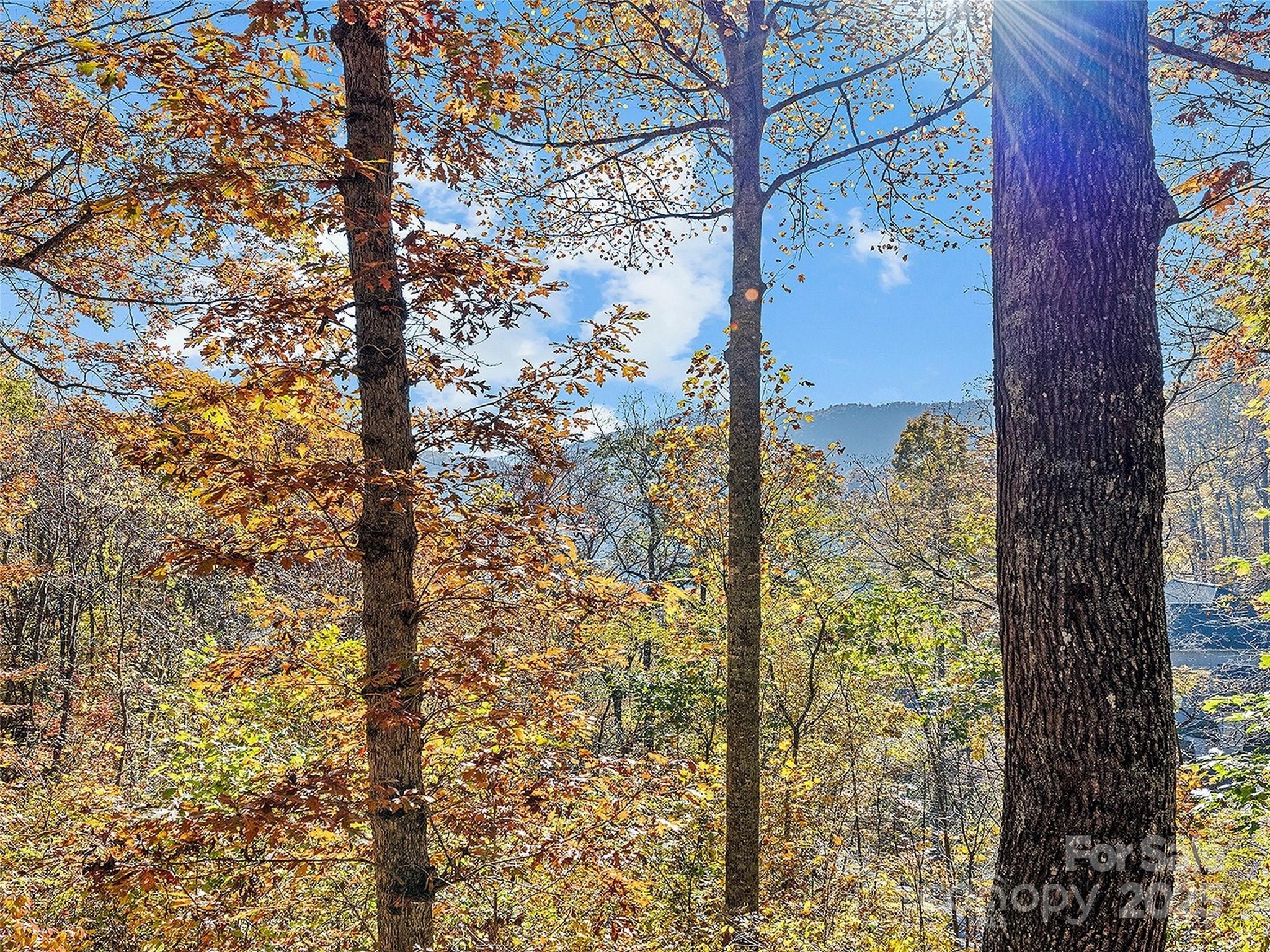 36 Wonder View Point Waynesville, NC 28785 - Photo 5 of 40