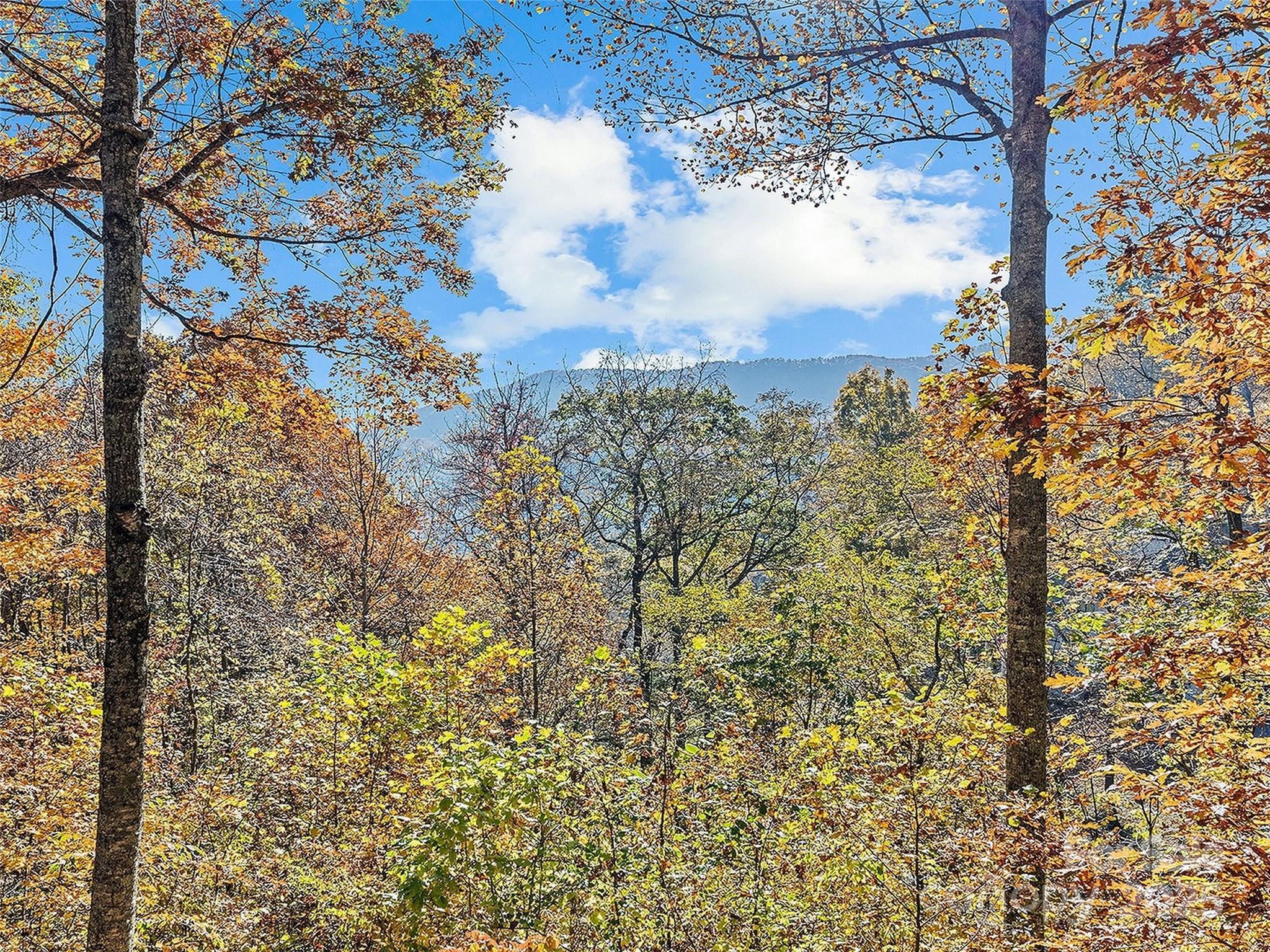 36 Wonder View Point Waynesville, NC 28785 - Photo 6 of 40 a view of a building
