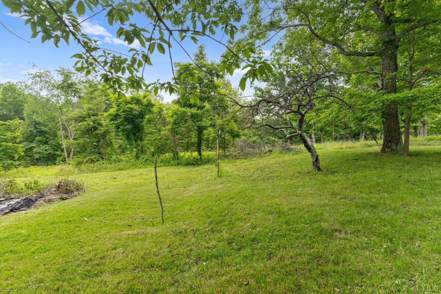 290 Matohe Road Monroe, VA 24574 - Photo 32 of 36 Gallery Image 32