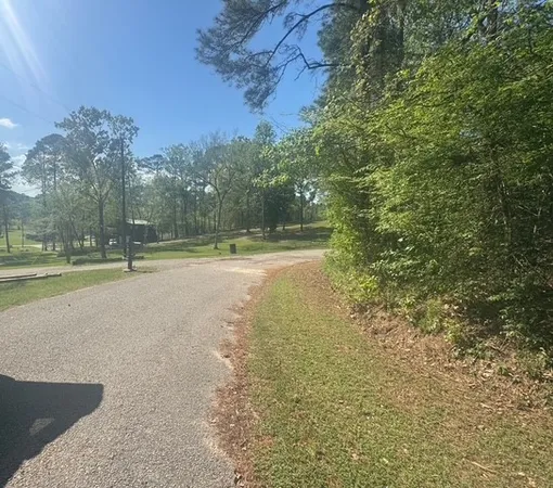 $10,000 | Tbd Evergreen Circle, Point Blank, TX 77364