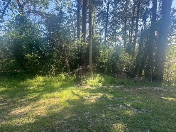 $10,000 | Tbd Evergreen Circle, Point Blank, TX 77364