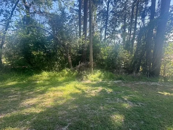 $10,000 | Tbd Evergreen Circle, Point Blank, TX 77364