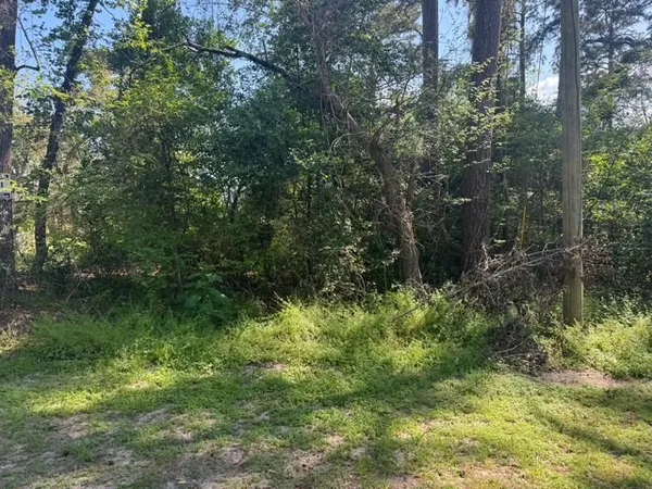 $10,000 | Tbd Evergreen Circle, Point Blank, TX 77364
