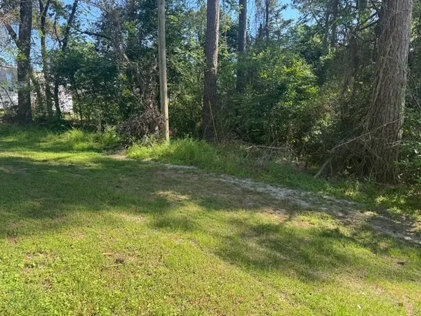 $10,000 | Tbd Evergreen Circle, Point Blank, TX 77364
