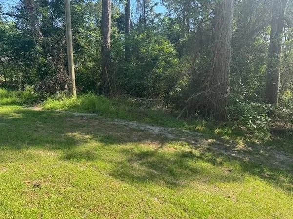 $10,000 | Tbd Evergreen Circle, Point Blank, TX 77364