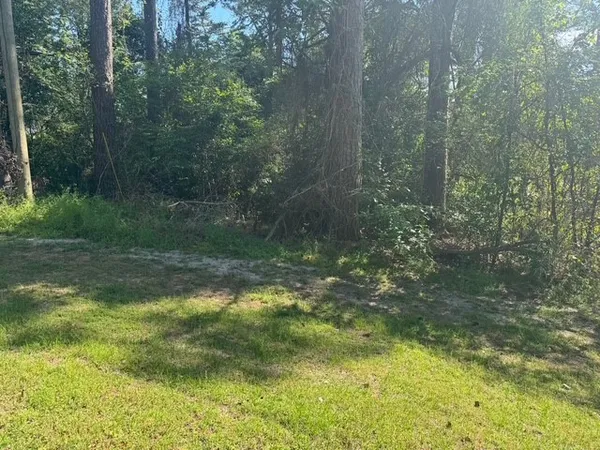 $10,000 | Tbd Evergreen Circle, Point Blank, TX 77364