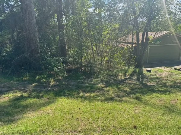 $10,000 | Tbd Evergreen Circle, Point Blank, TX 77364