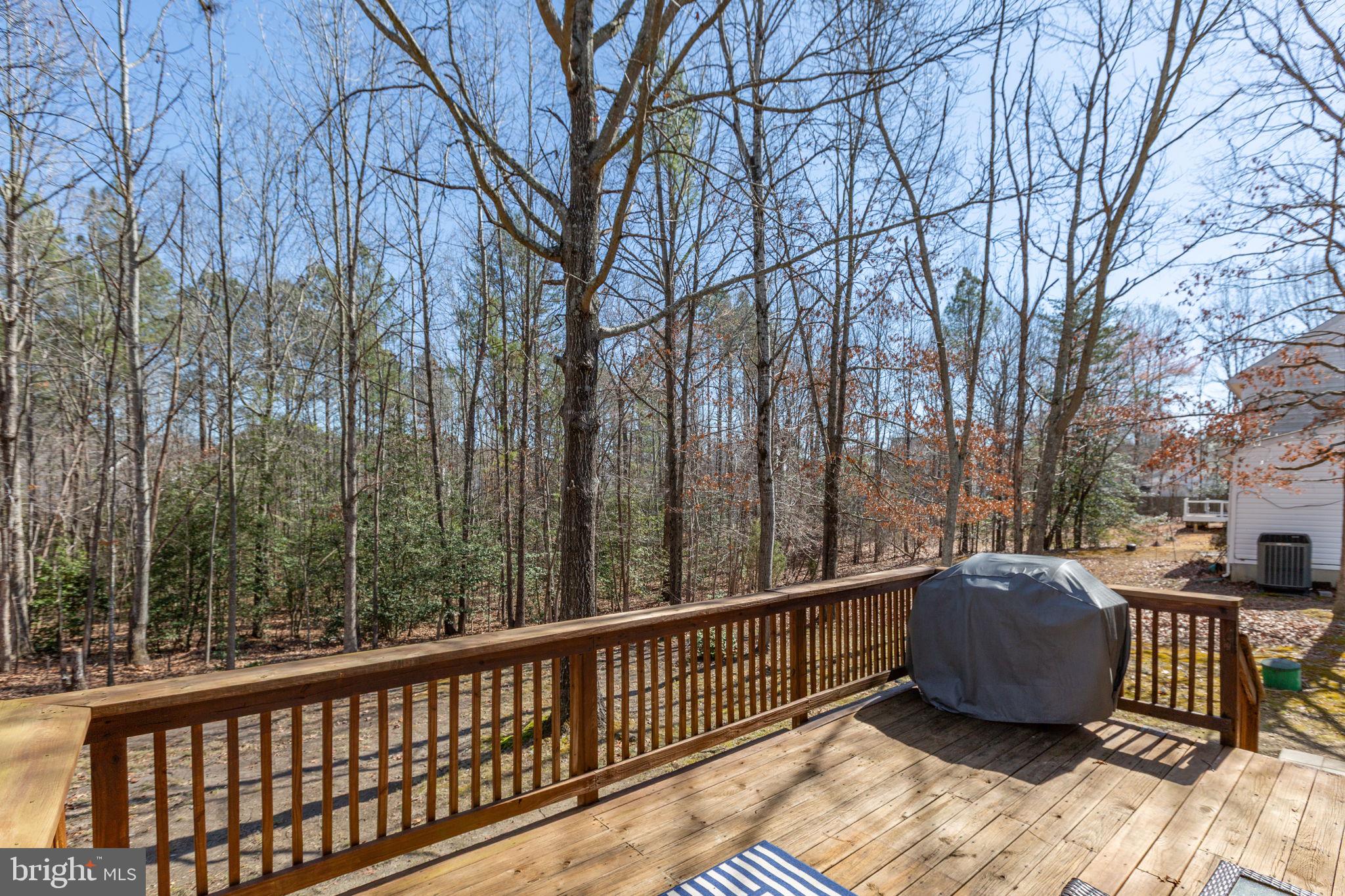 3421 Lancaster Ring Road Fredericksburg, VA 22408 - Photo 19 of 45 Open deck view