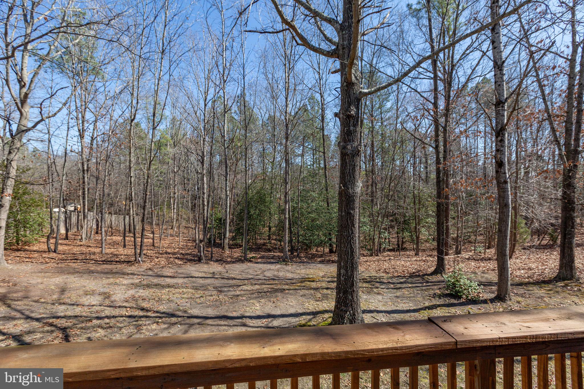 3421 Lancaster Ring Road Fredericksburg, VA 22408 - Photo 20 of 45 Enjoy the views of nature in your yard