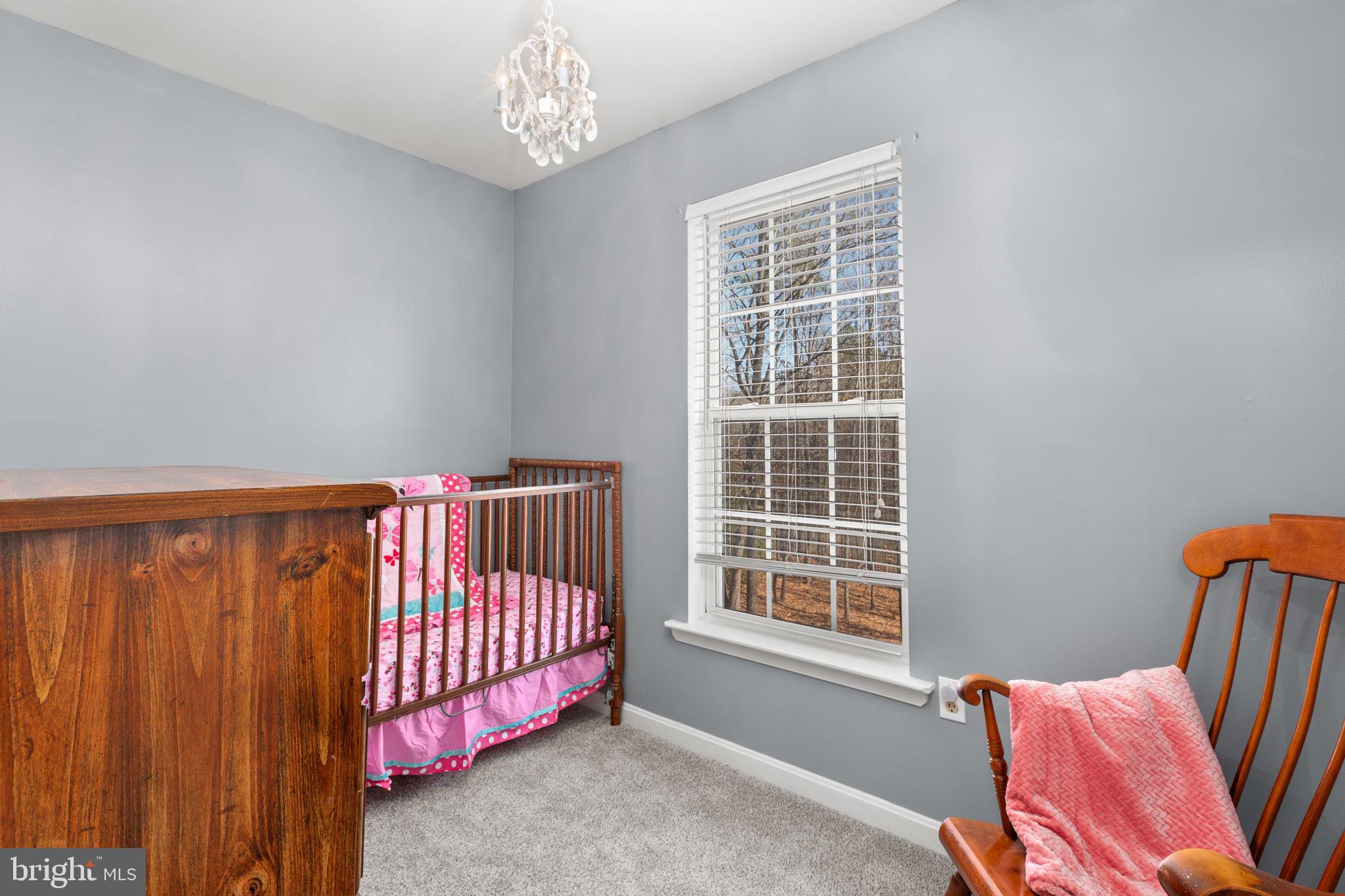 3421 Lancaster Ring Road Fredericksburg, VA 22408 - Photo 32 of 45 4th bedroom light and bright