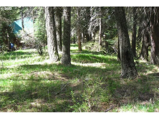 a view of backyard with green space