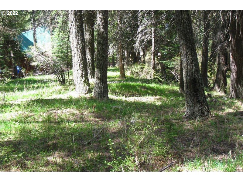 0 Tram Lane Joseph, OR 97846 - Photo 2 of 3 a view of backyard with green space