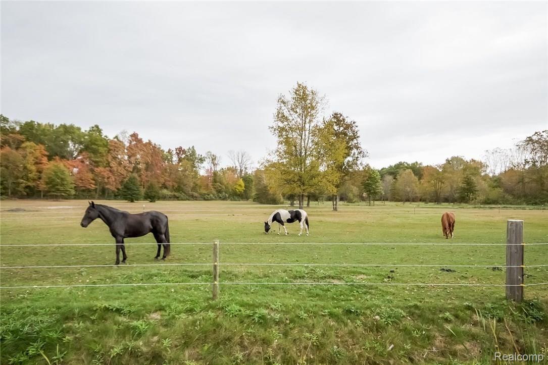 23835 Elwell Road Belleville, MI 48111 - Photo 64 of 78 GRAZING IN FENCED PASTURES