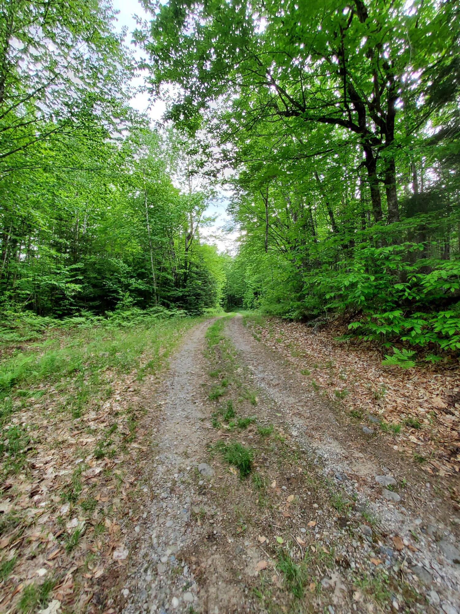 Lot 50 Map 14) Andover, ME 04216 - Photo 9 of 12 20260605_164914