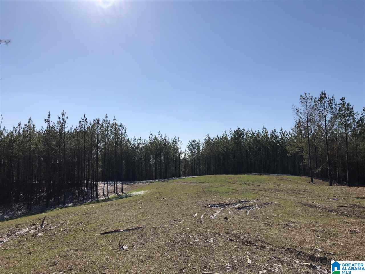 22 Highway 69 Chelsea Al, Unit 17 Chelsea, AL 35043 - Photo 3 of 5